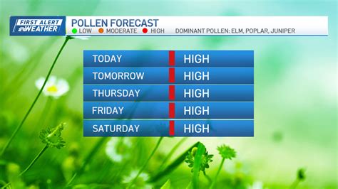 allergy forecast massachusetts|allergies massachusetts today.